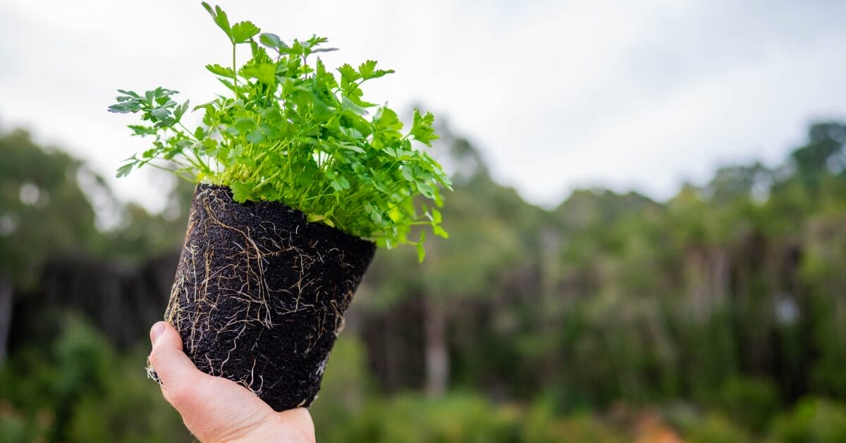 Eco-Friendly Practices