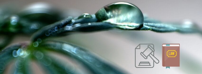 Are Grey Water Systems Legal?