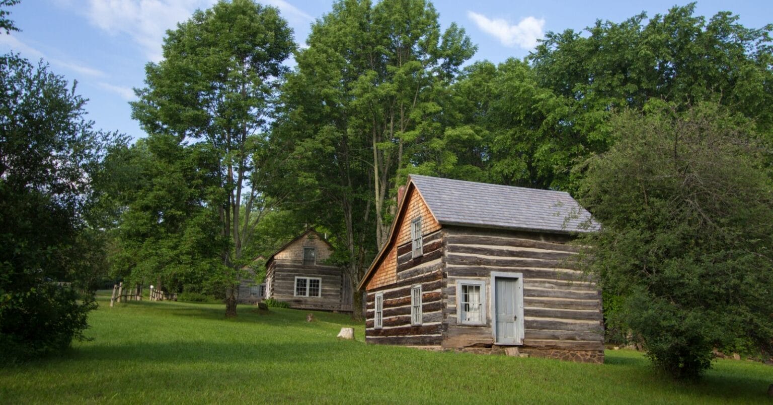 We'll help you live off the grid with no money, teaching you everything you need for a self-sufficient lifestyle.