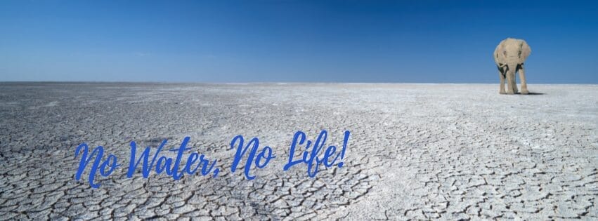 no water, no life