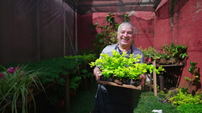 Create Your Own Indoor Garden with an LED Grow Light