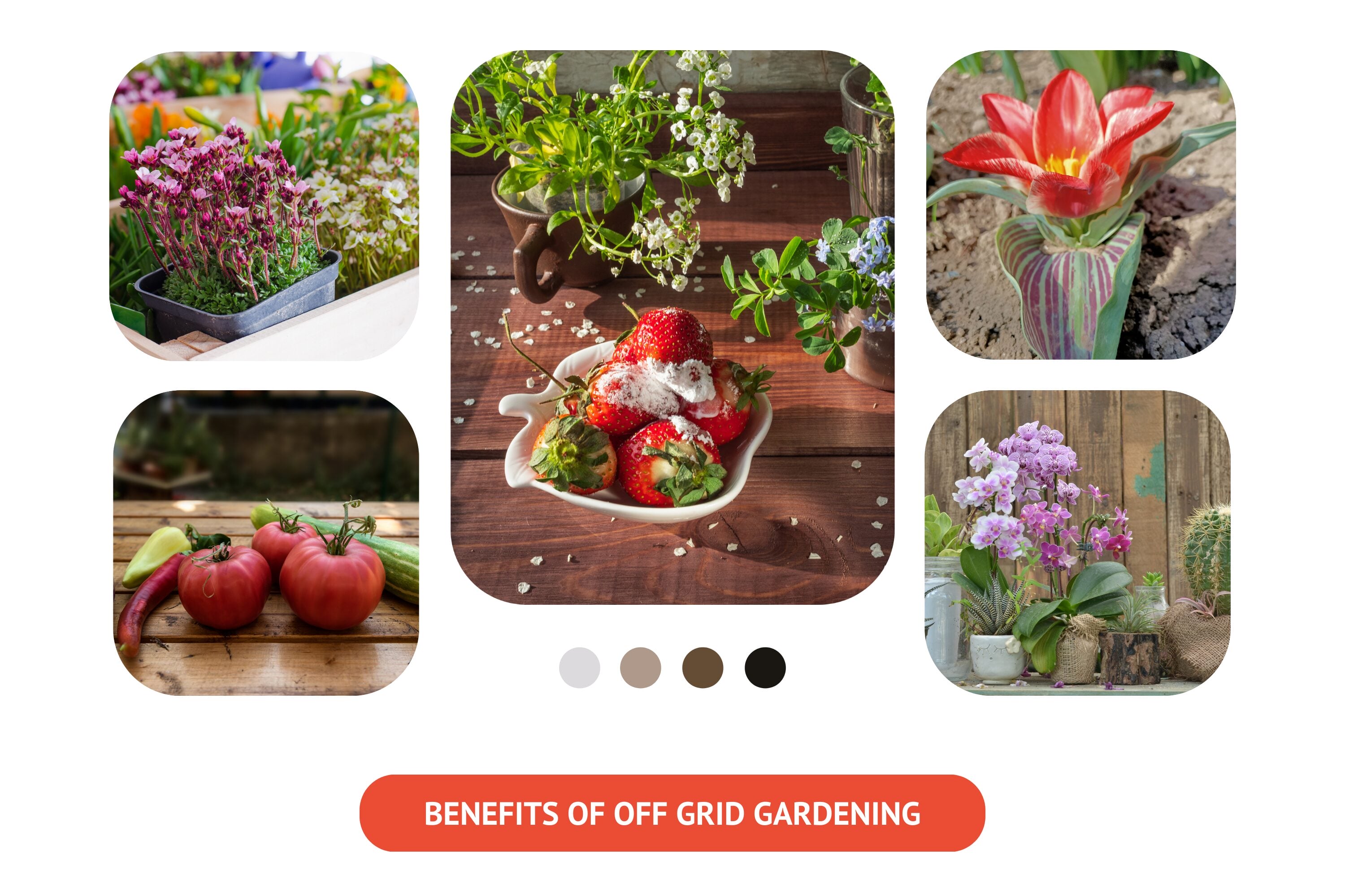 The advantages of off-grid gardening are numerous.