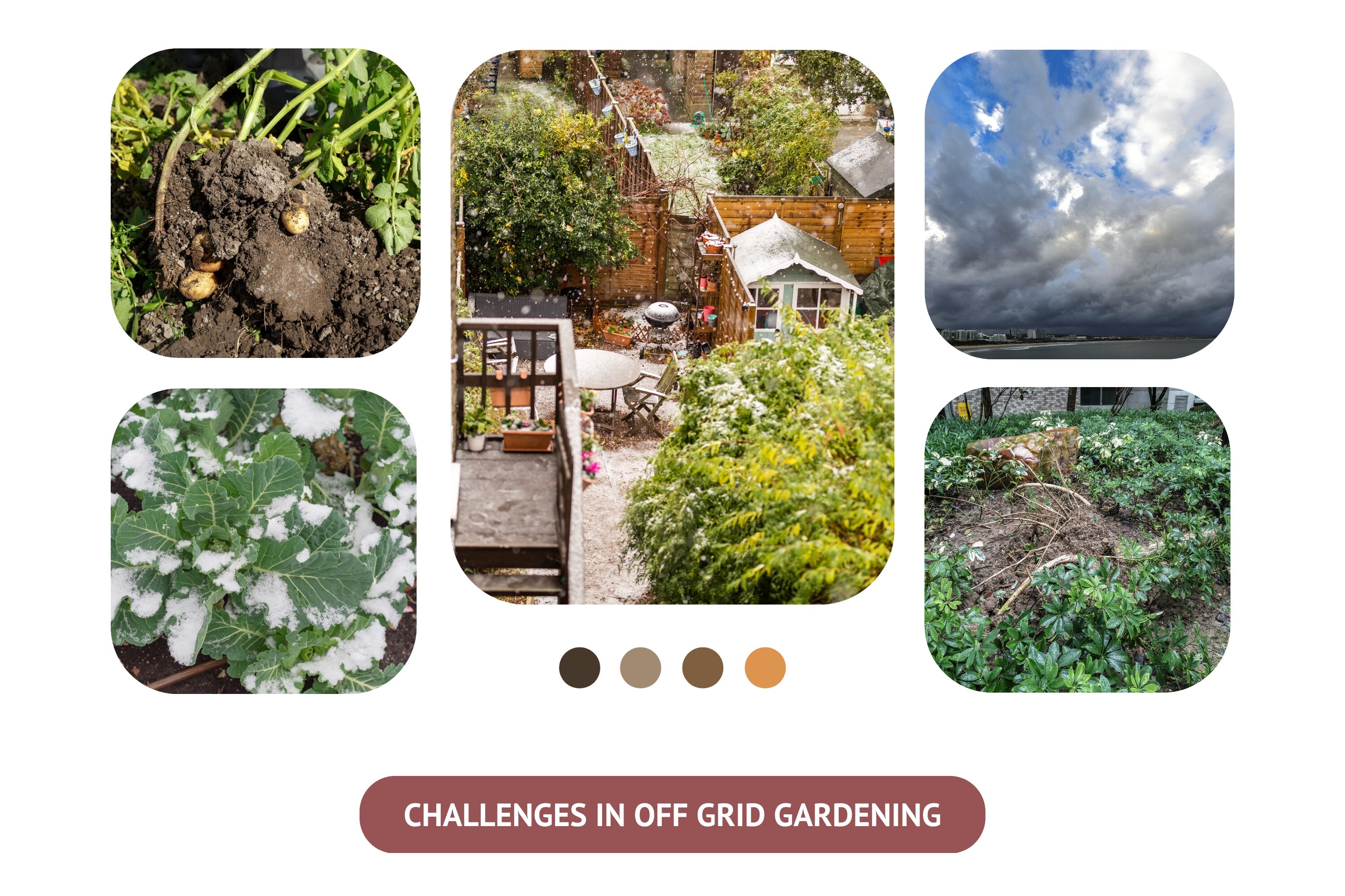 The difficulties of off-grid gardening pose an exciting opportunity for problem-solving and innovation.