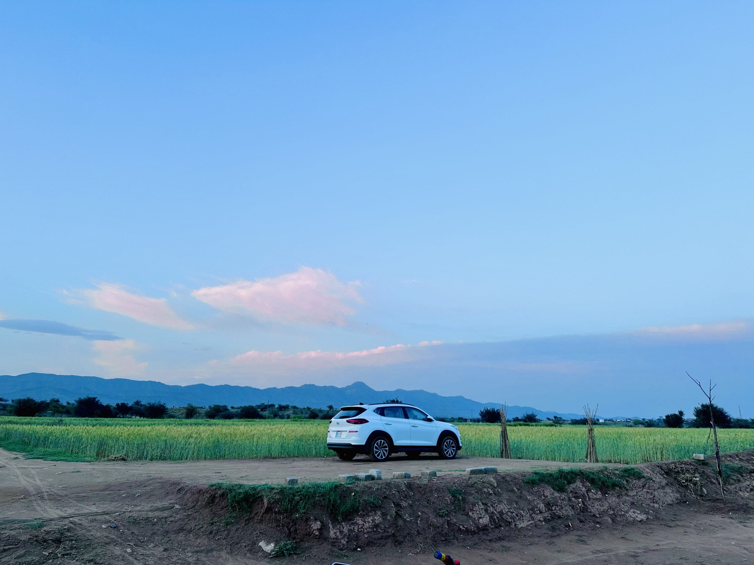 My neighborhood and my partner in crime have an unbreakable connection.