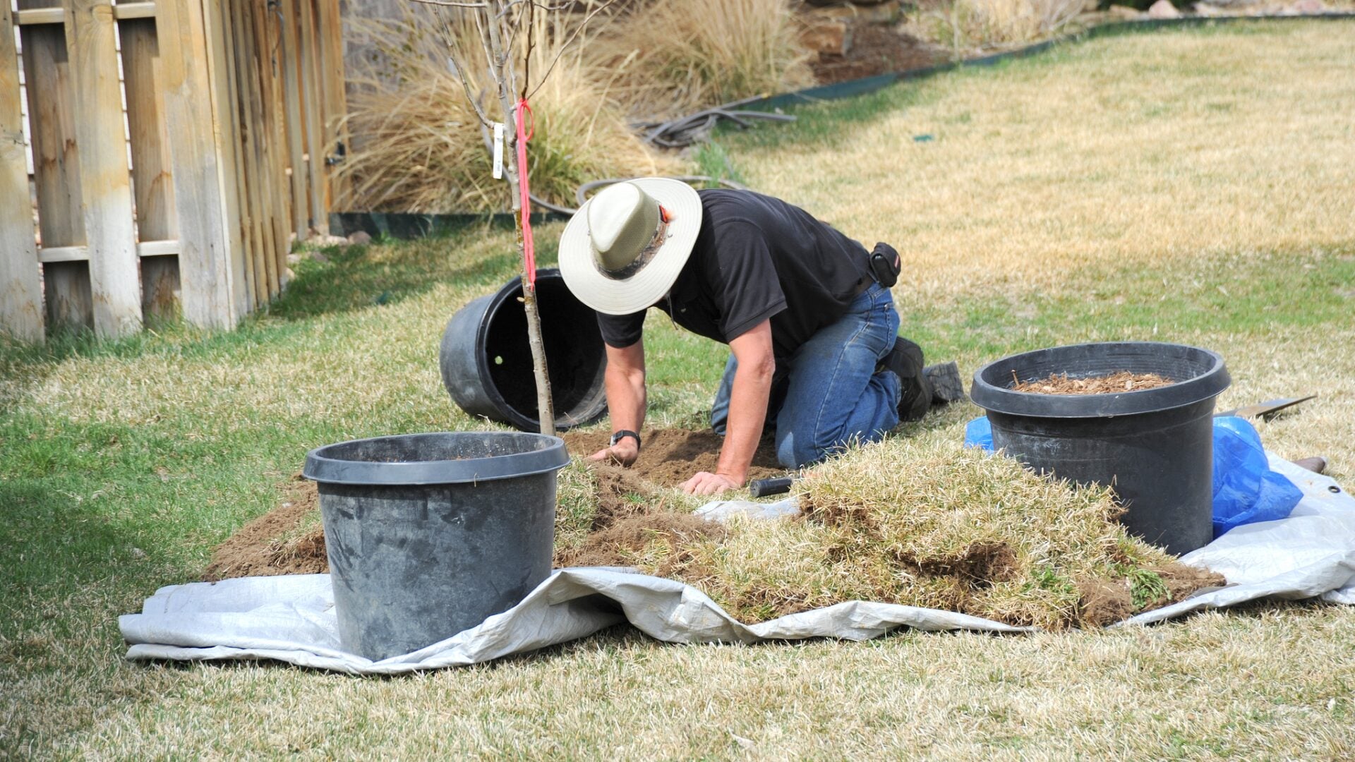 The gardener is currently planting.