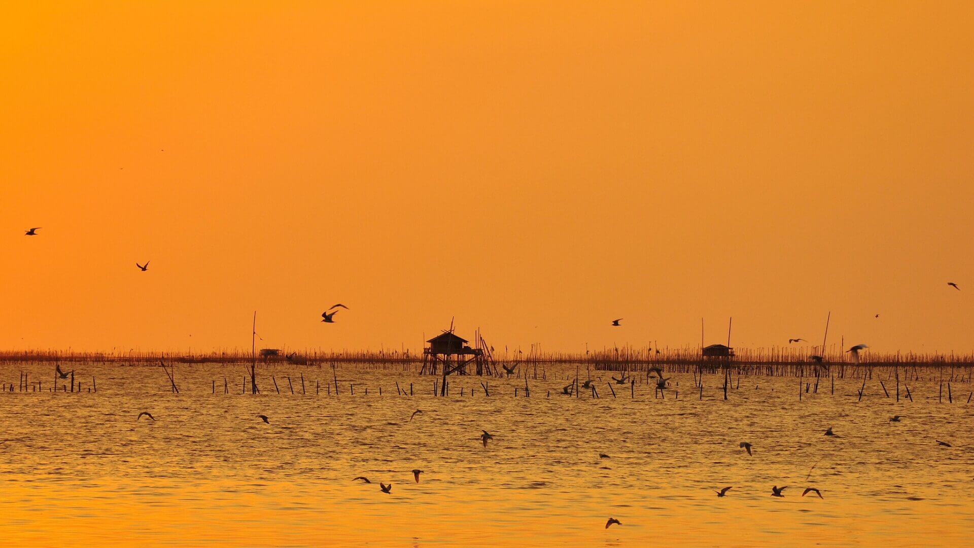 The fascinating story of houseboats throughout history is truly captivating.