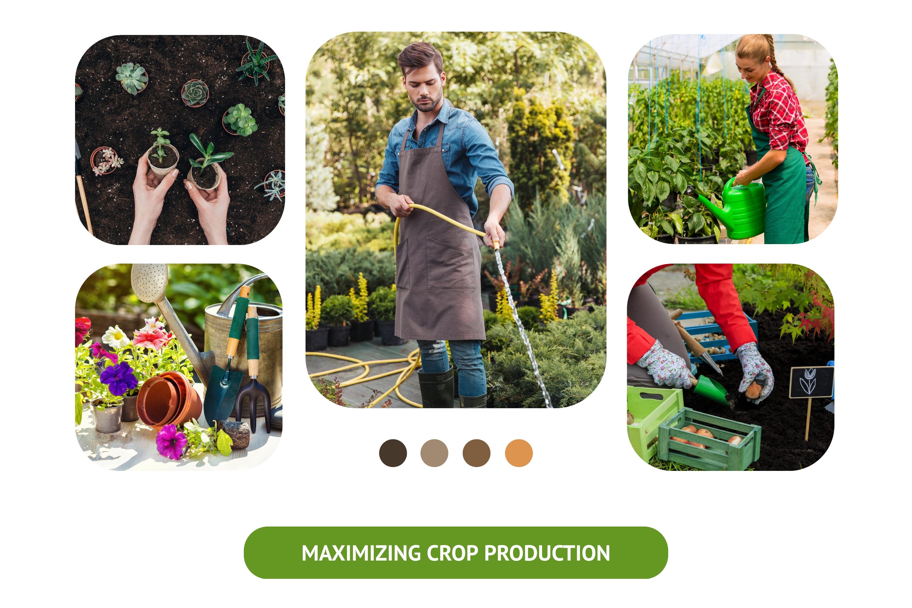 How to Maximize Crop Production?
