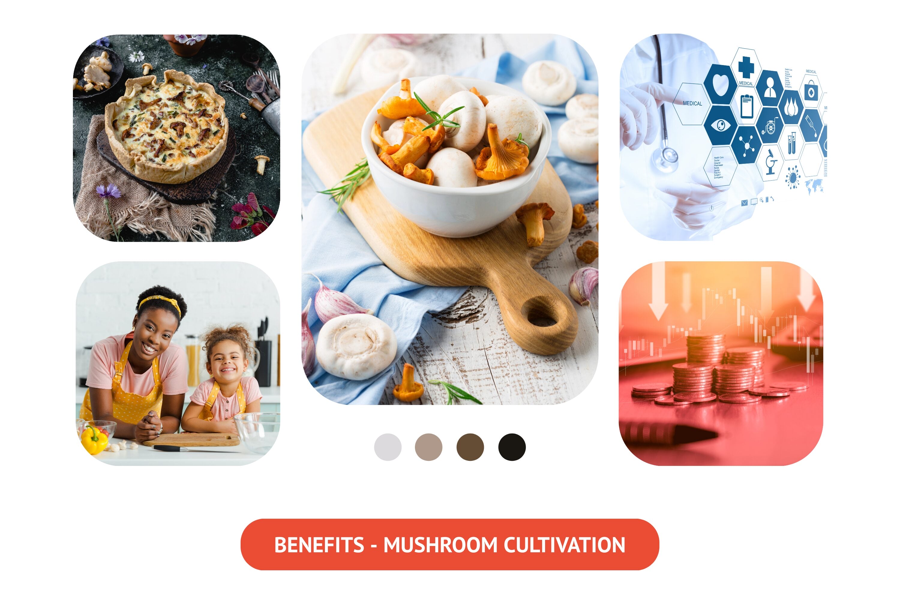 Benefits of cultivating mushrooms include their nutritional value, minimal space and resource requirements, profitability, and environmental advantages.
