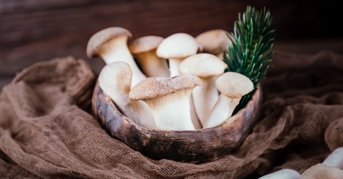 Oyster mushrooms are a delicious and versatile ingredient to cook with.
