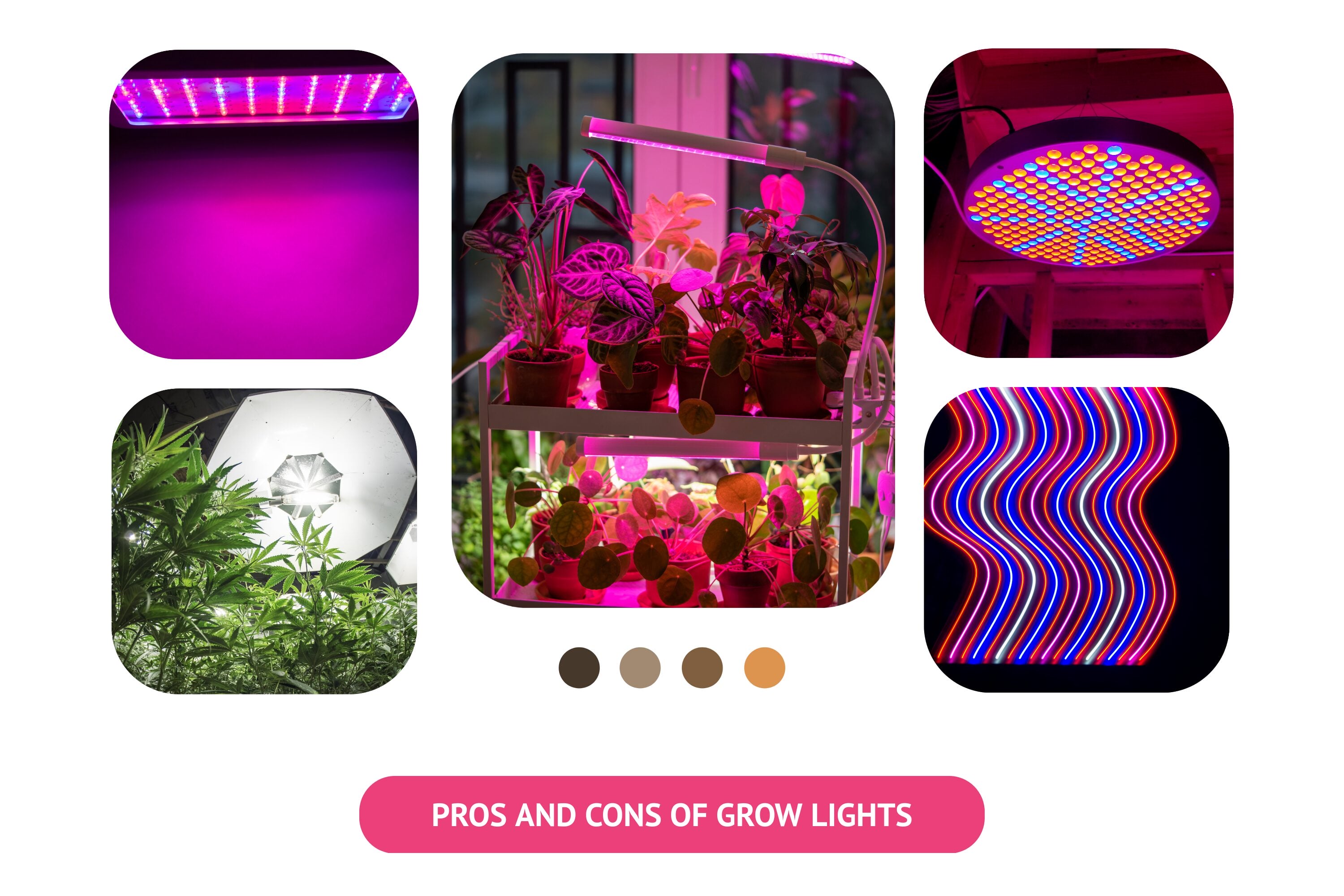 Advantages and Disadvantages of LED Grow Lights