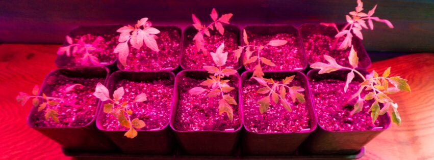 How to Install Your LED Grow Light System