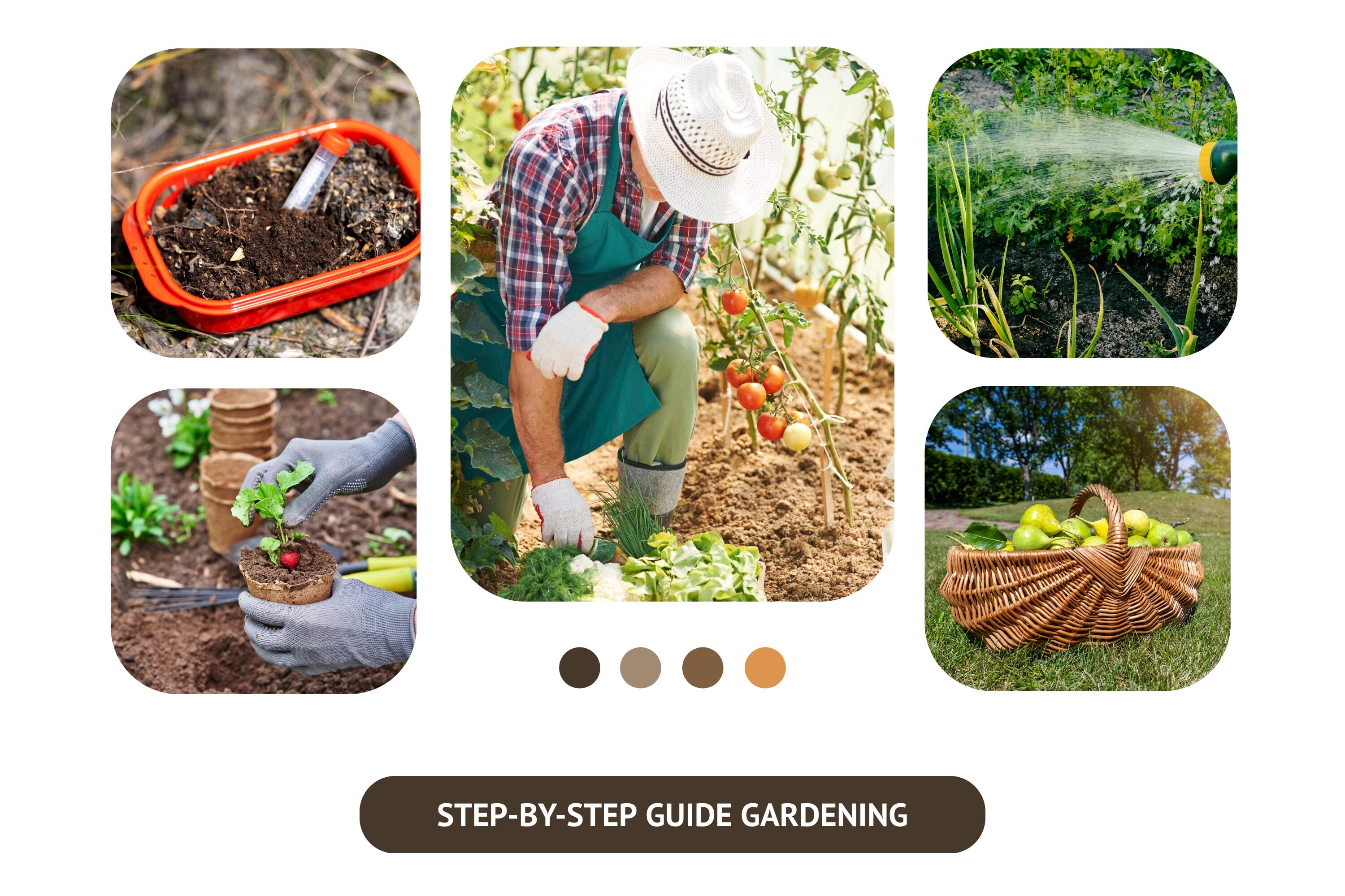 Gardening Step-by-Step Guide