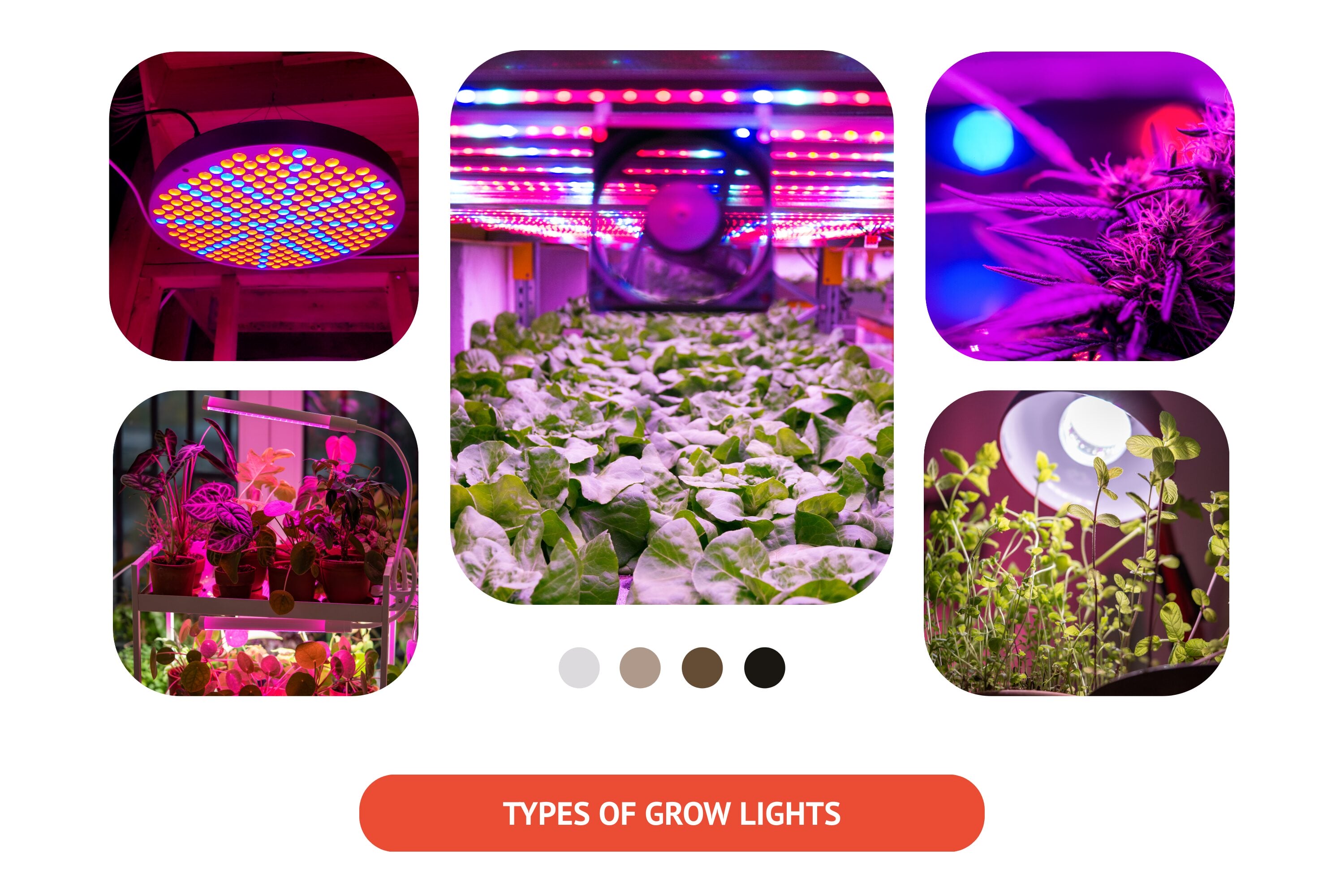 There are different types of grow lights available for use in gardening.