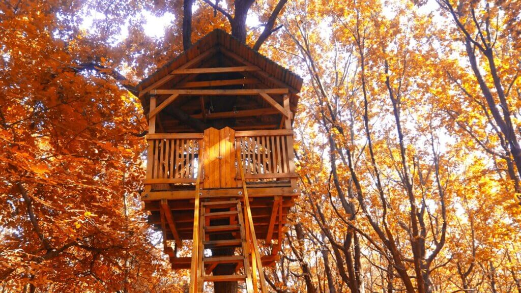 Modern Treehouses: Design Excellence in the Leaves Living in a majestic treehouse