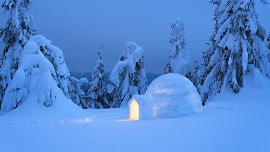 Relaxing in the Snow