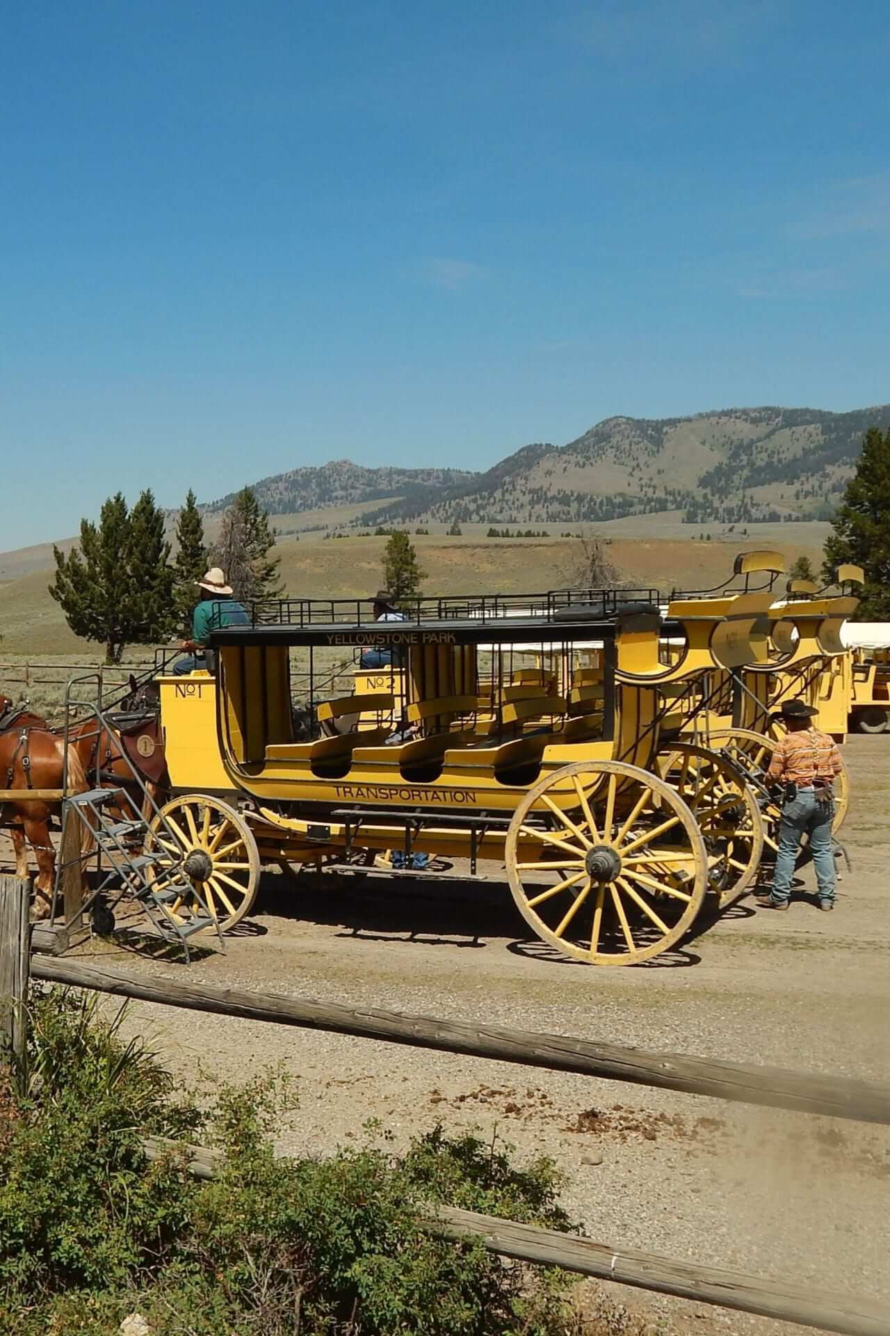 The Romani Vardo wagon homes showcase a harmonious blend of traditional design and captivating features.