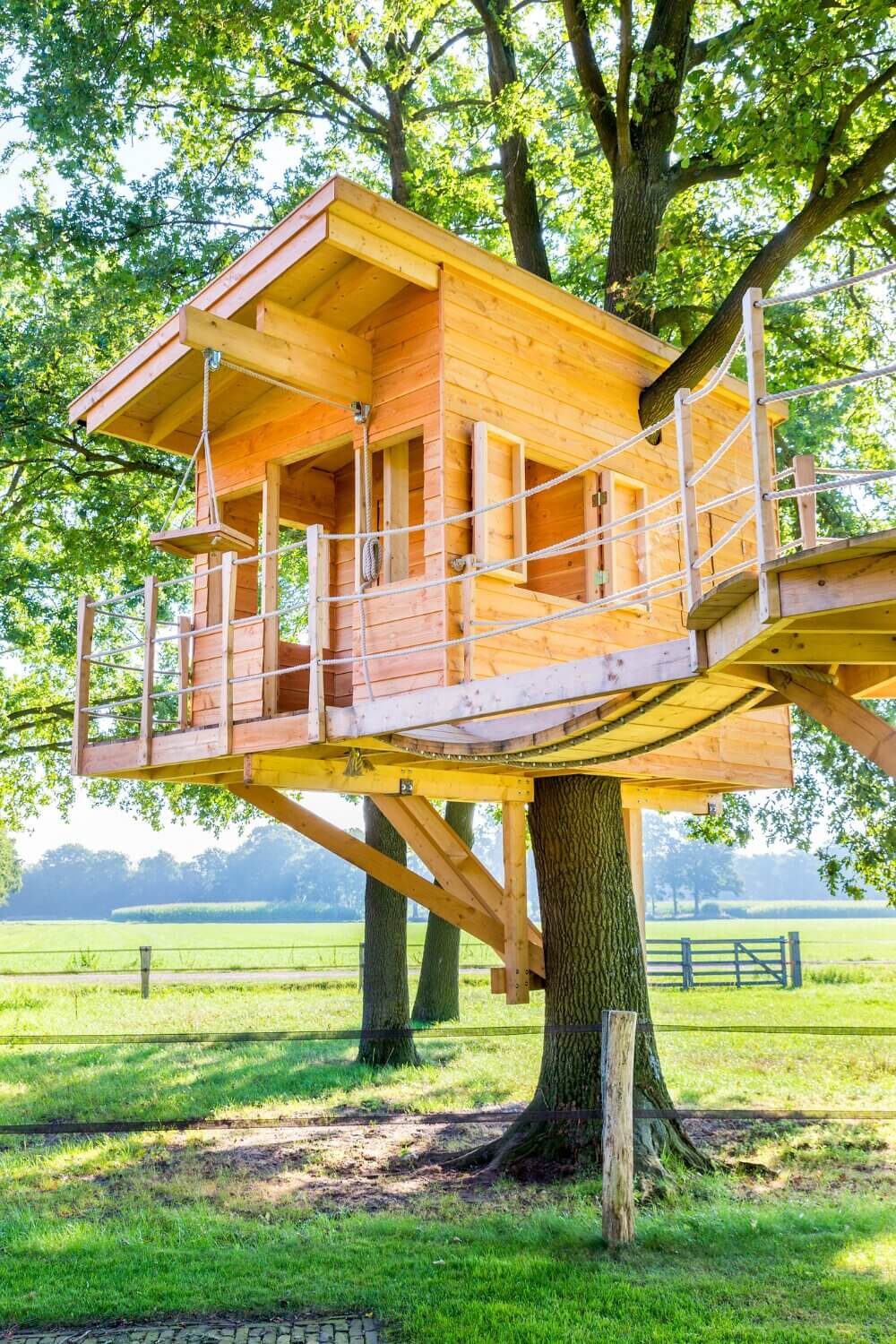 Selecting the ideal treehouse