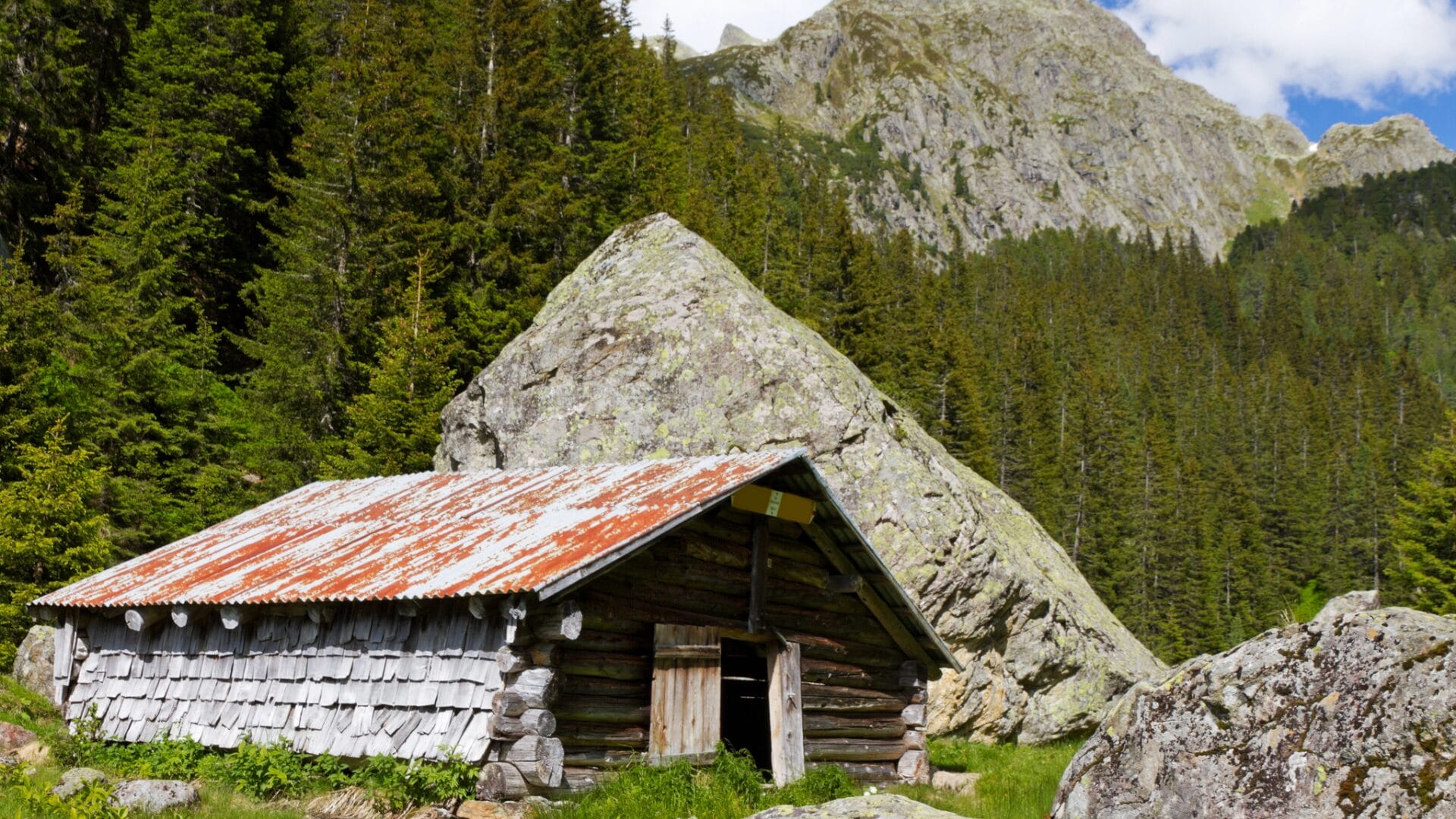 Learn how to build huts.