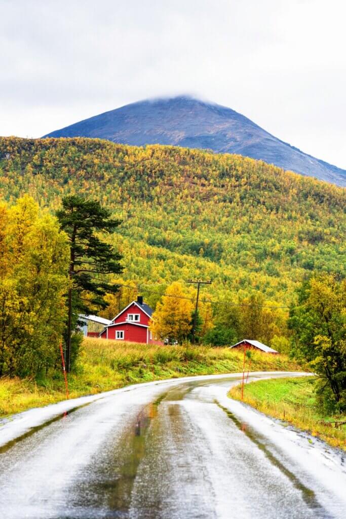 Living in my tiny house is a truly remarkable experience.