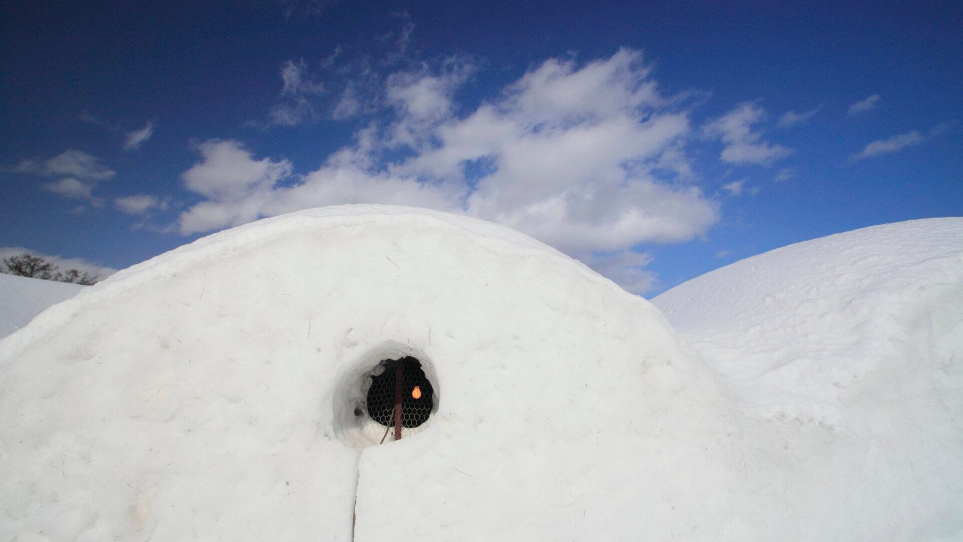 Ice Hotels are a unique form of accommodation that are constructed entirely out of ice and snow.