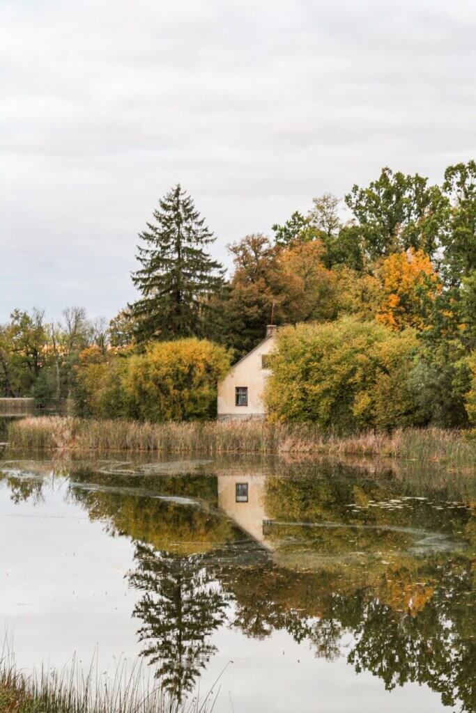 Experience the wonders of tiny house living in the beautiful state of Tennessee.