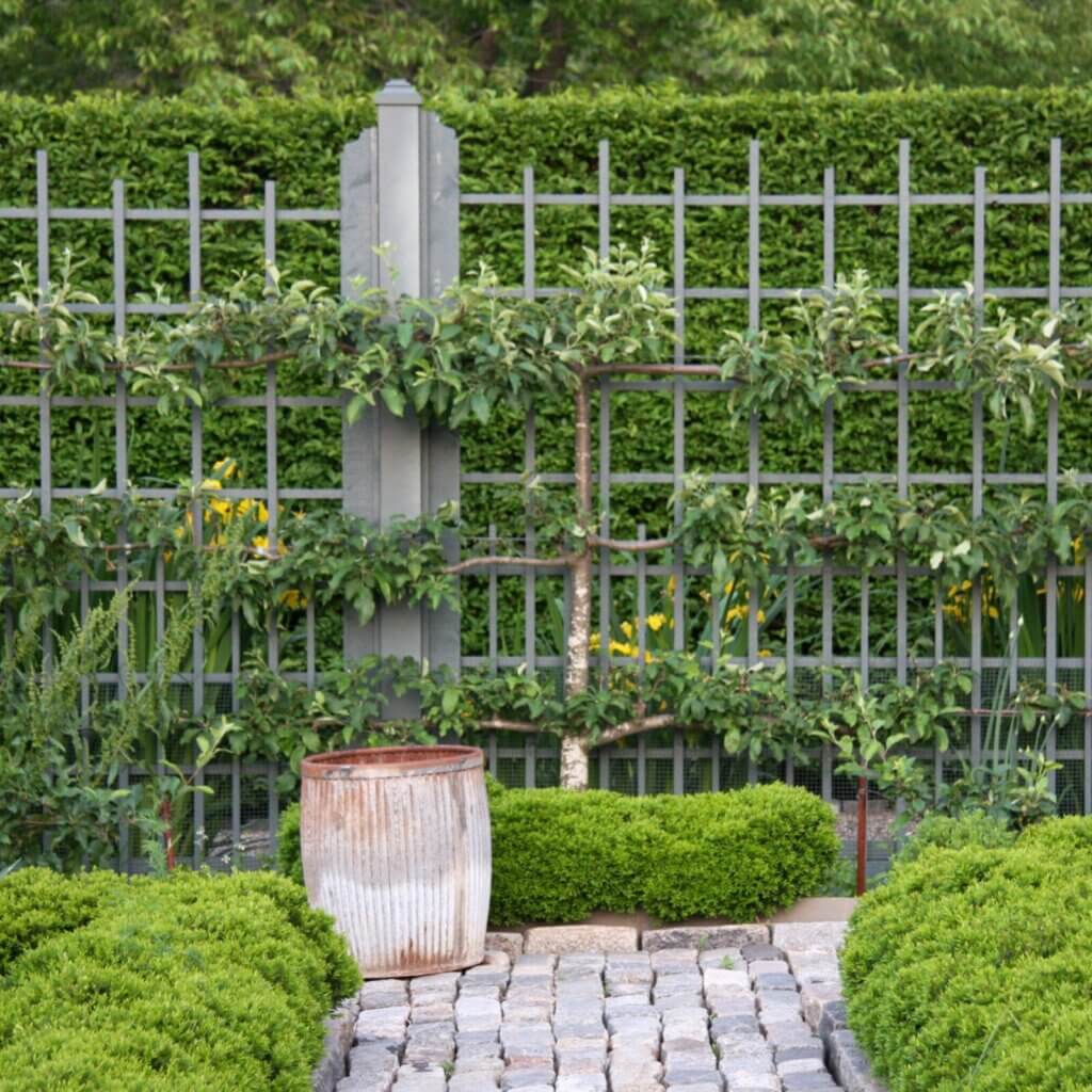 Emphasize a Privacy Fence