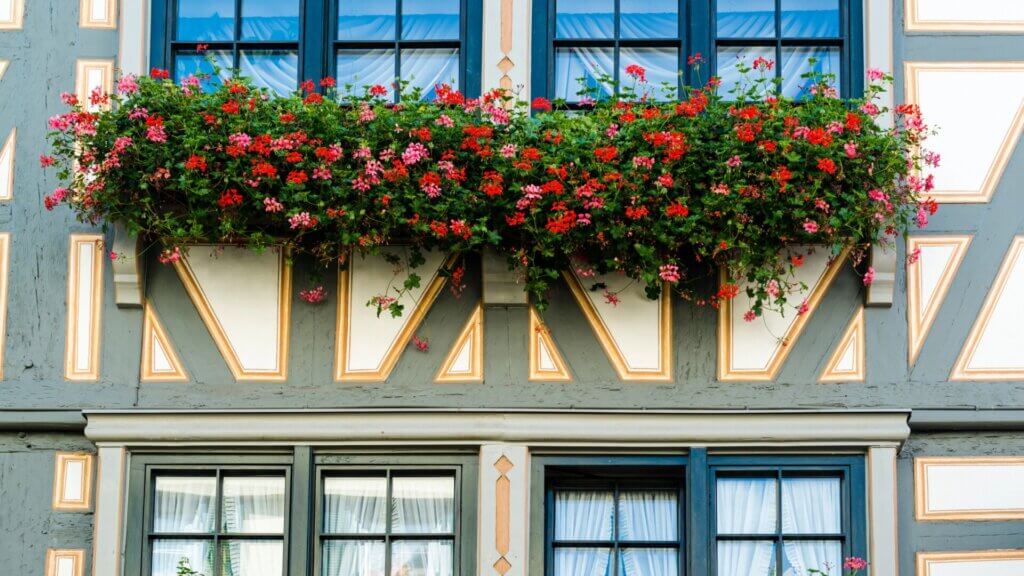 Balcony Rail Planters for your small space