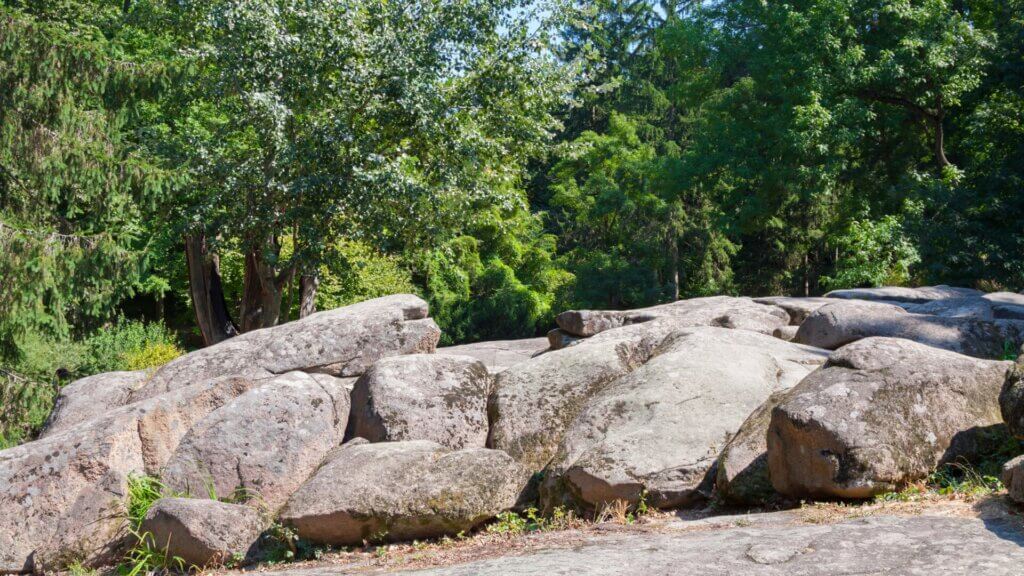 Enhance your landscaping with stunning boulder accents.