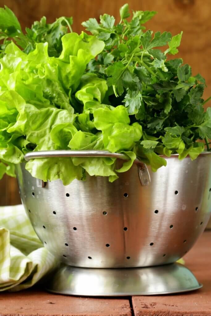 Colander Gardens For You