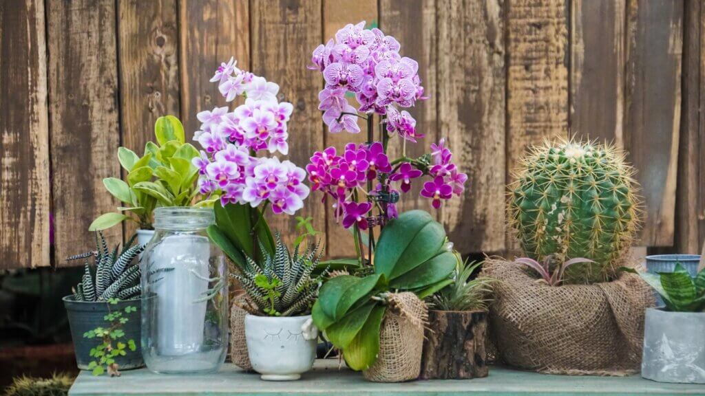 Fabric Bags gardens look amazing