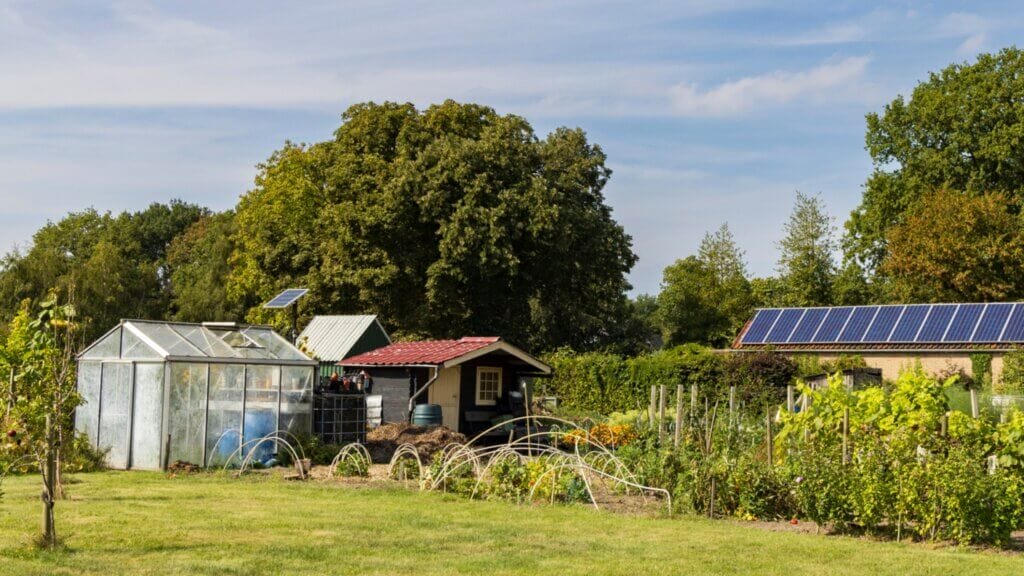 Design of a Greenhouse Shed