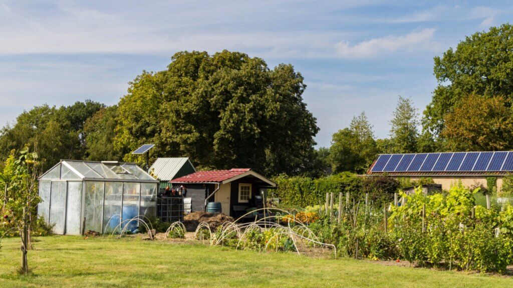 Design of a Greenhouse Shed