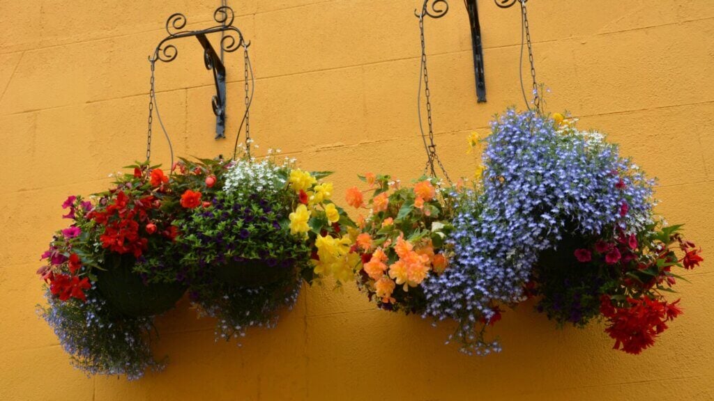 Gardens in Hanging Baskets