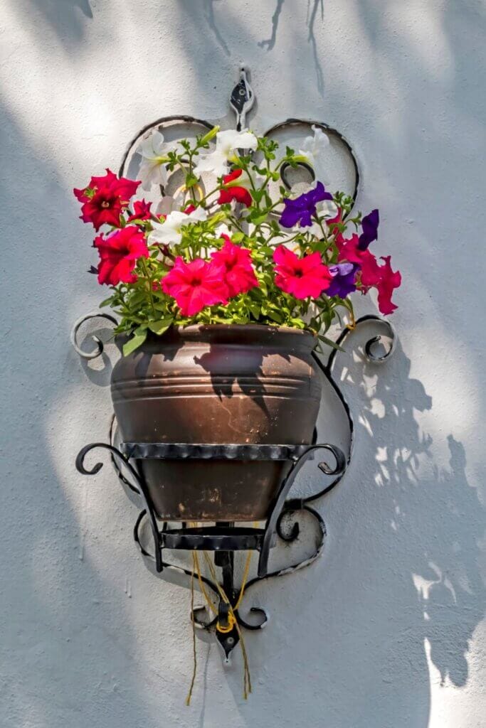 Designing Hanging Baskets