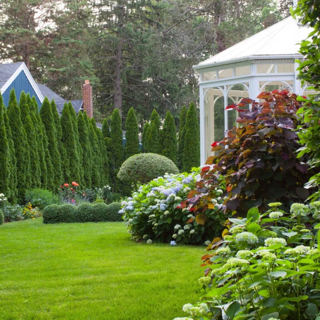 Give your lawn the opportunity to truly be a lawn.