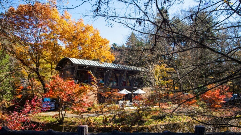 Shed for Outdoor Kitchen