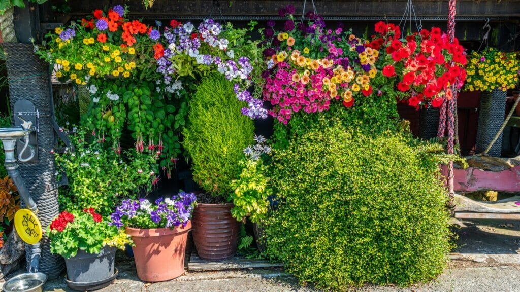 designing a personalized potting shed for my garden.