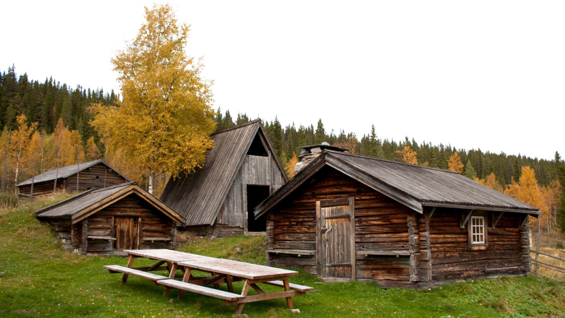 Experience the charm of a rustic cabin with our authentic and captivating cabin style.