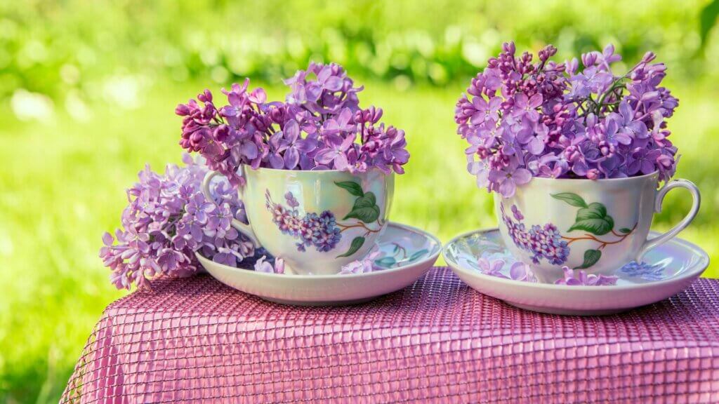 Teacup Gardens Are Small And Wonderful