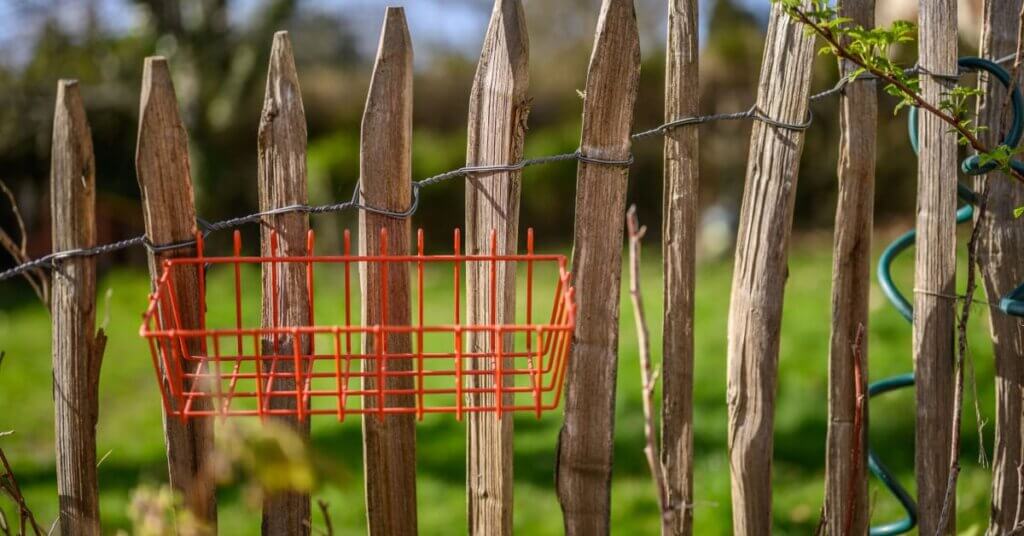 Experience the excitement of open-air fencing.