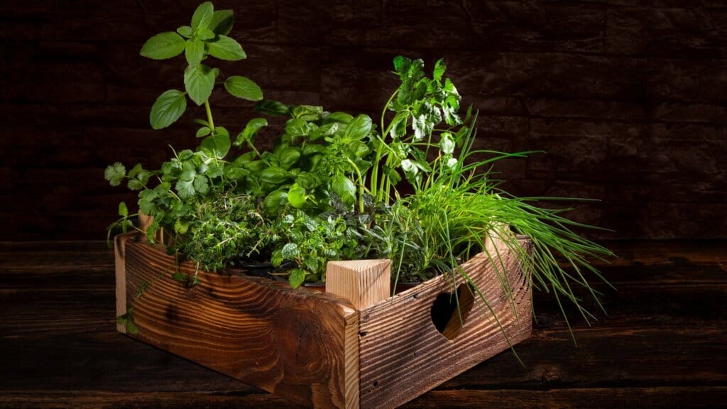 Wooden crates planters are great