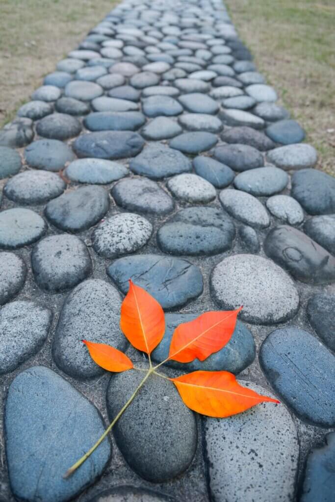 A great idea for designing a cobblestone pathway.