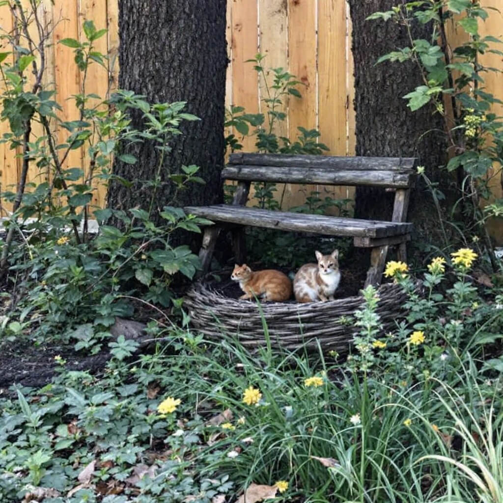 Wildlife-Friendly Garden