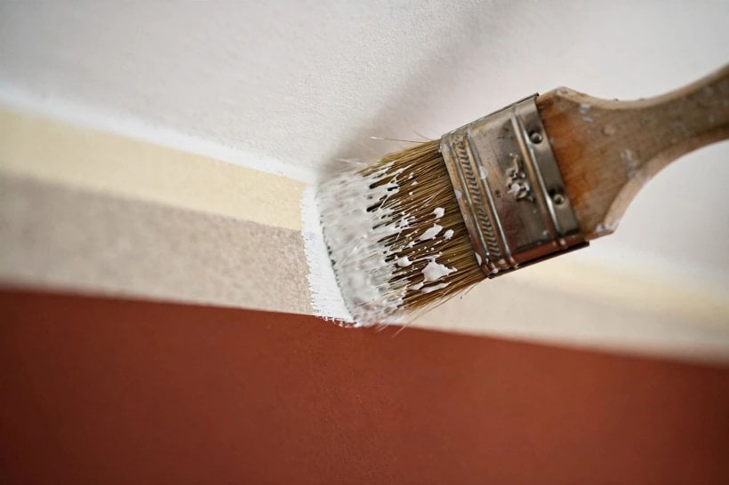 behr marquee vs premium plus ultra: freshly painted kitchen wall in a deep colour with clean edges