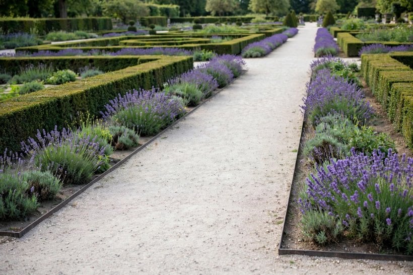 garden path ideas: timber sleepers forming rustic garden steps