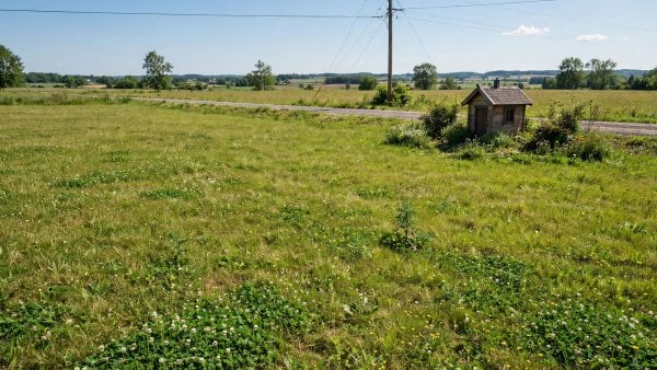 land cost tiny house acre with access, clearing and utility connections to price before buying