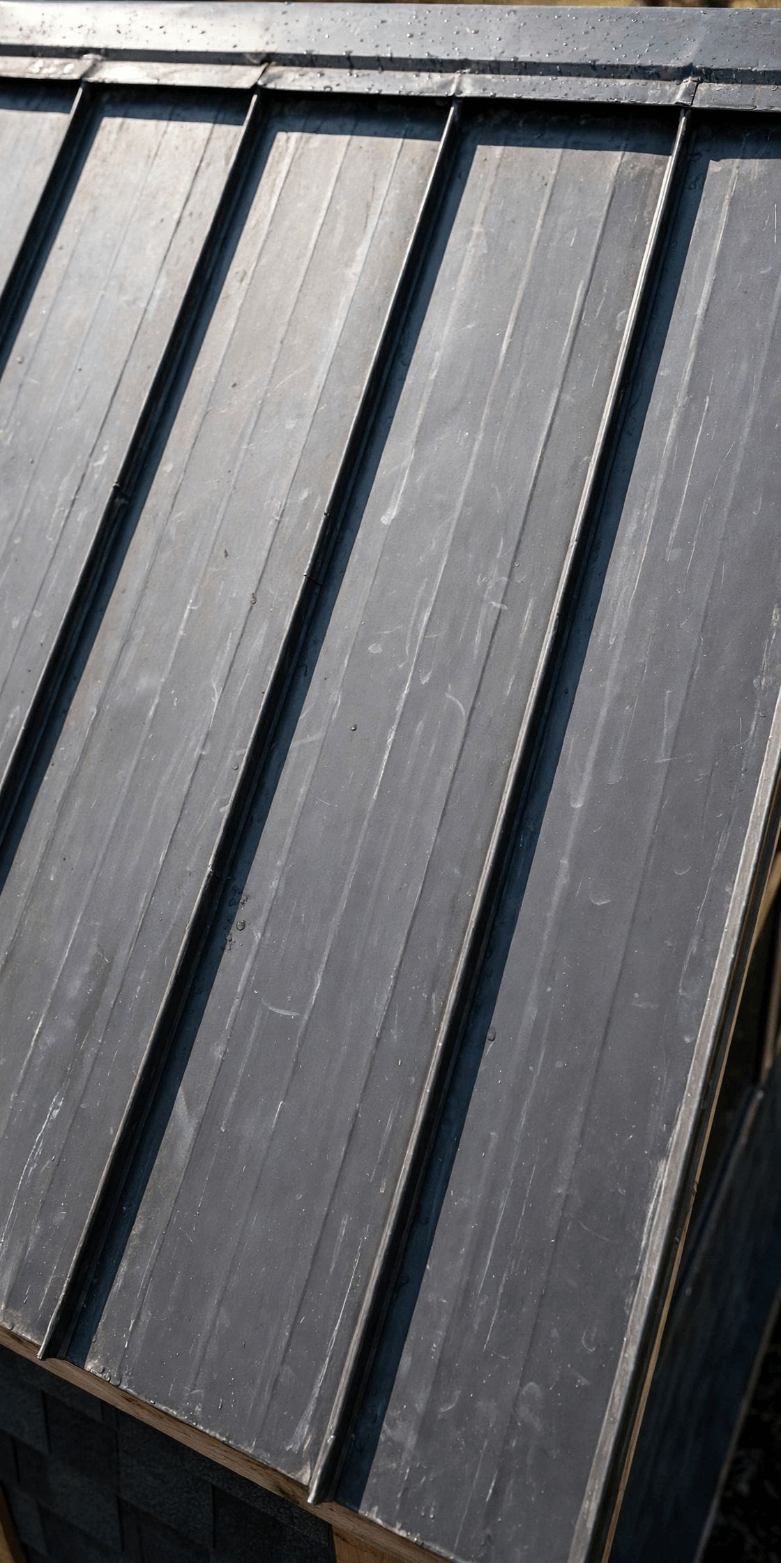 metal roof vs shingles tiny house