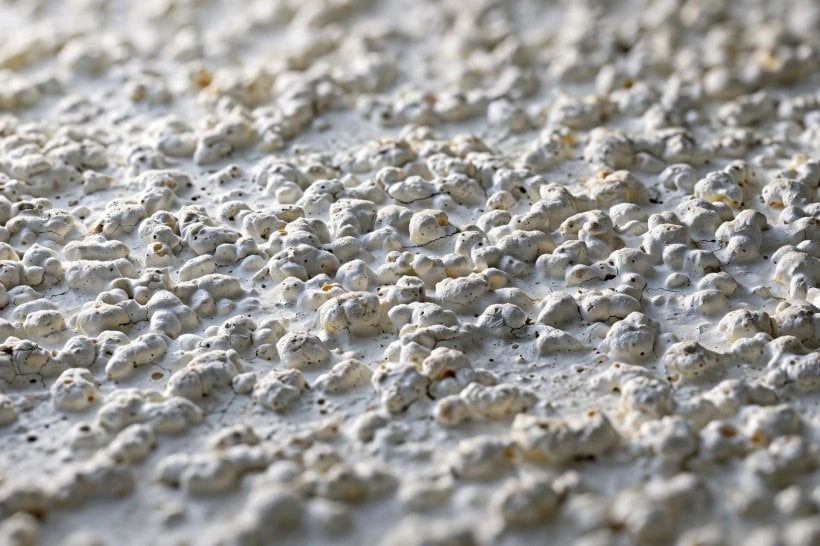 popcorn ceiling removal cost: freshly smoothed ceiling in a bright open-plan living room