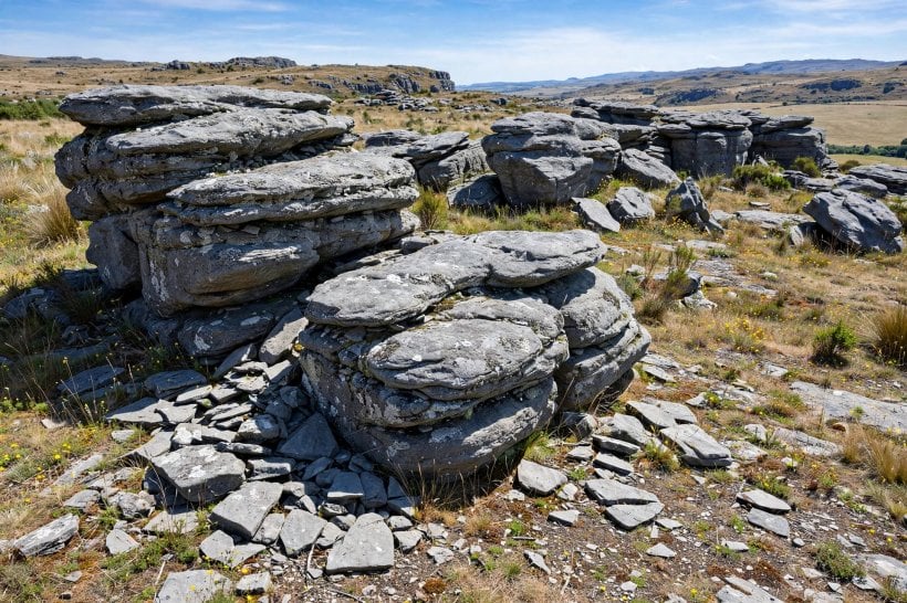 Alpine Rock Garden: a single type of weathered stone forming a natural outcrop
