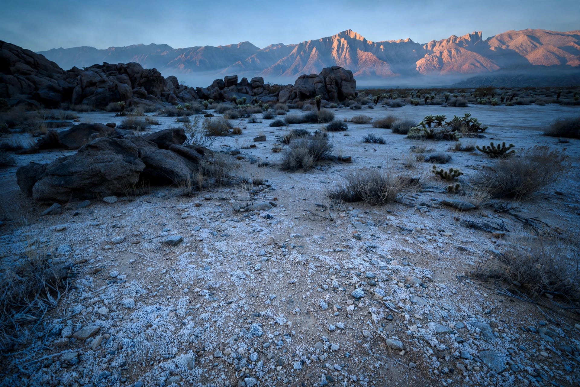 Landscaping with Rocks: Modern Backyard Designs for High-Desert Climates